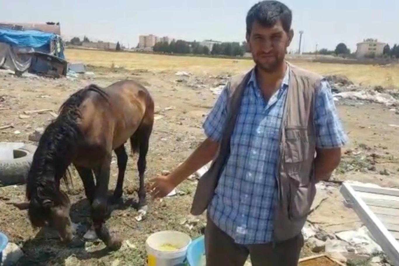 Ayağı kırılan at tedavi edilmeyi bekliyor Ayağı kırılan at tedavi edilmeyi bekliyor